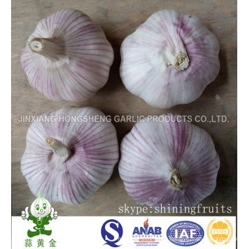 Fresh Normal White Garlic Size 5.0cm From China Mainland